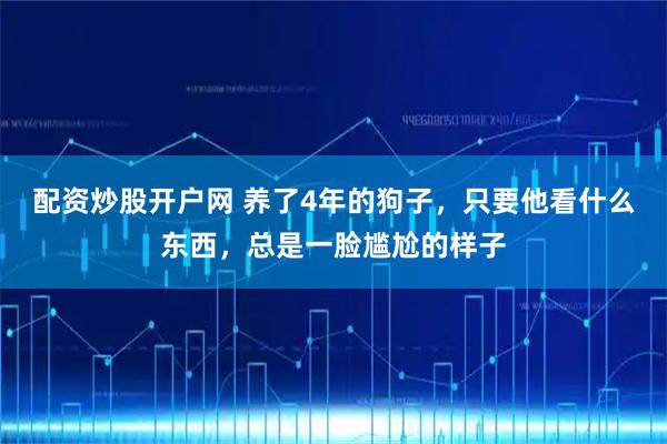 配资炒股开户网 养了4年的狗子，只要他看什么东西，总是一脸尴尬的样子